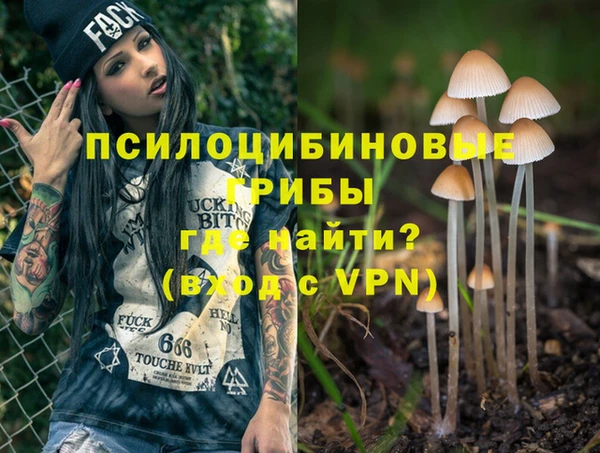 ALPHA-PVP Вяземский