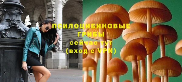ALPHA-PVP Вяземский
