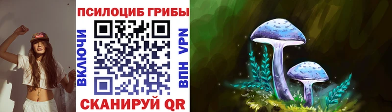 Галлюциногенные грибы прущие грибы  Саранск 